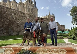 El alcalde de Astorga, Jose Luis Nieto hace entrega del premio al mejor ejemplar de esta edición