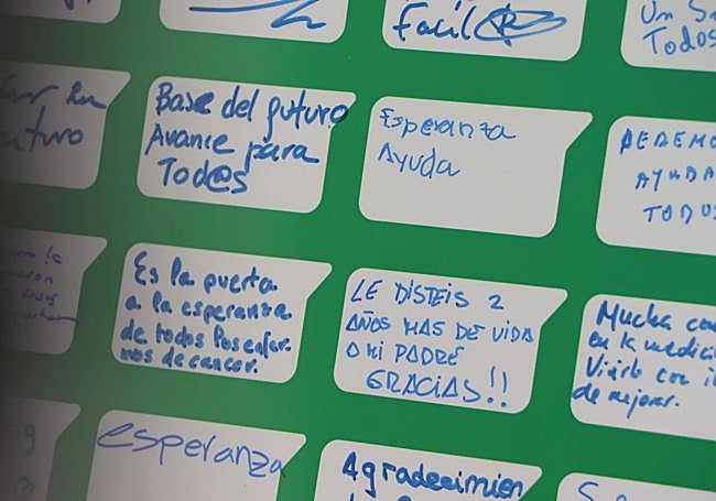 Algunos de los mensajes.