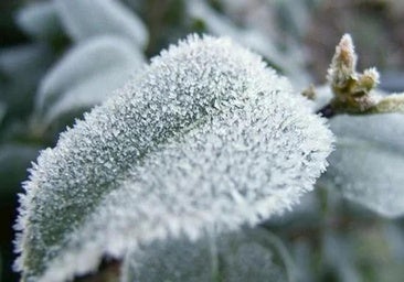 Madrugada gélida en León: varios puntos de la provincia, bajo cero