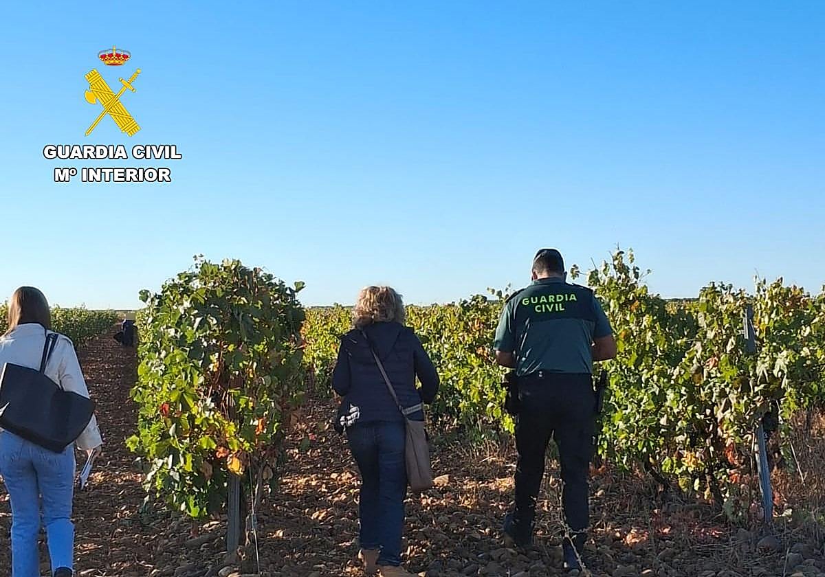 Actuación conjunta Guardia Civil e Inspección de Trabajo en la zona de Valdevimbre y Los Oteros.