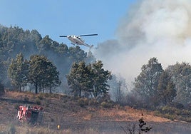Medios participan en la extinción del incendio