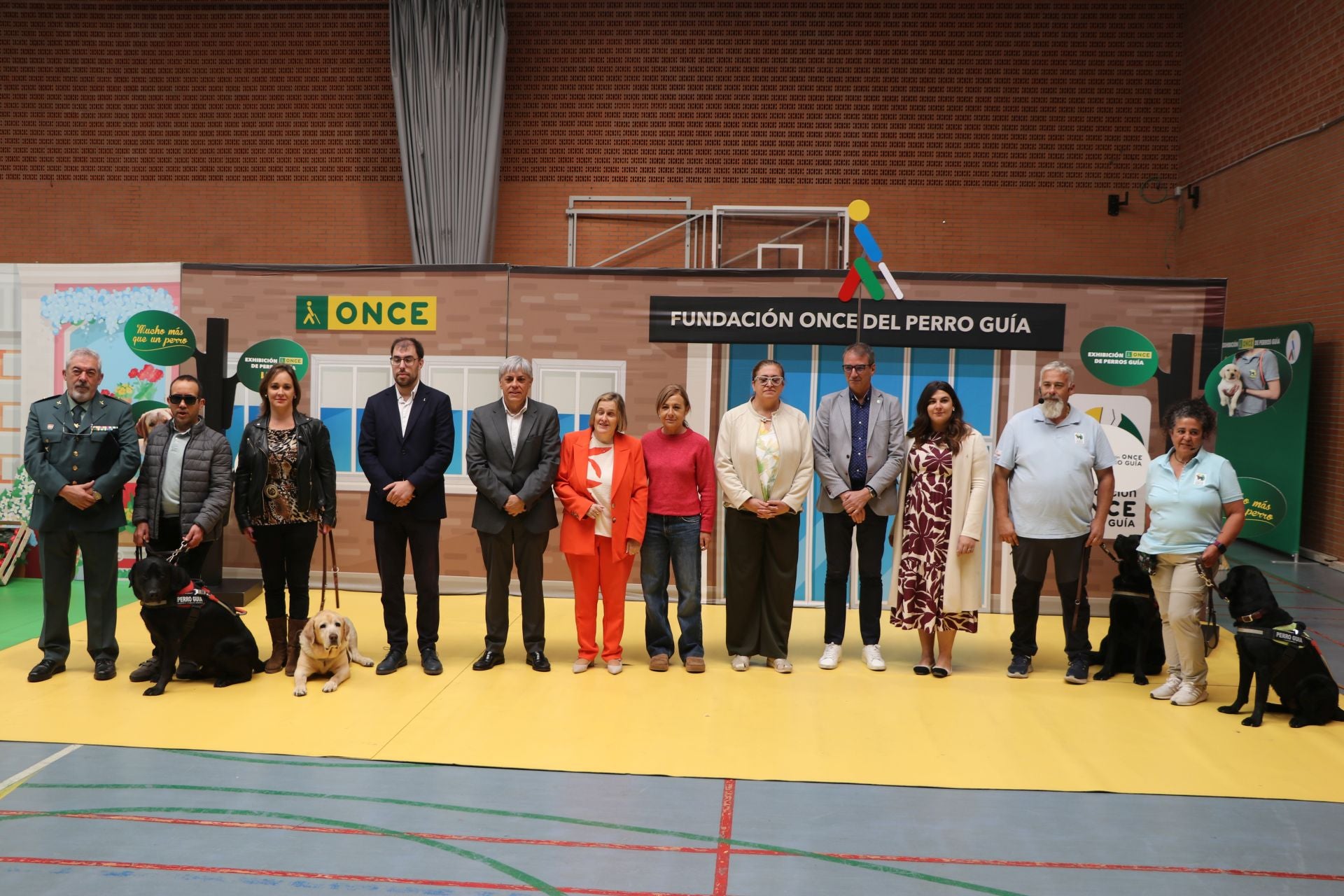 Así se adiestran y trabajan los perros guía