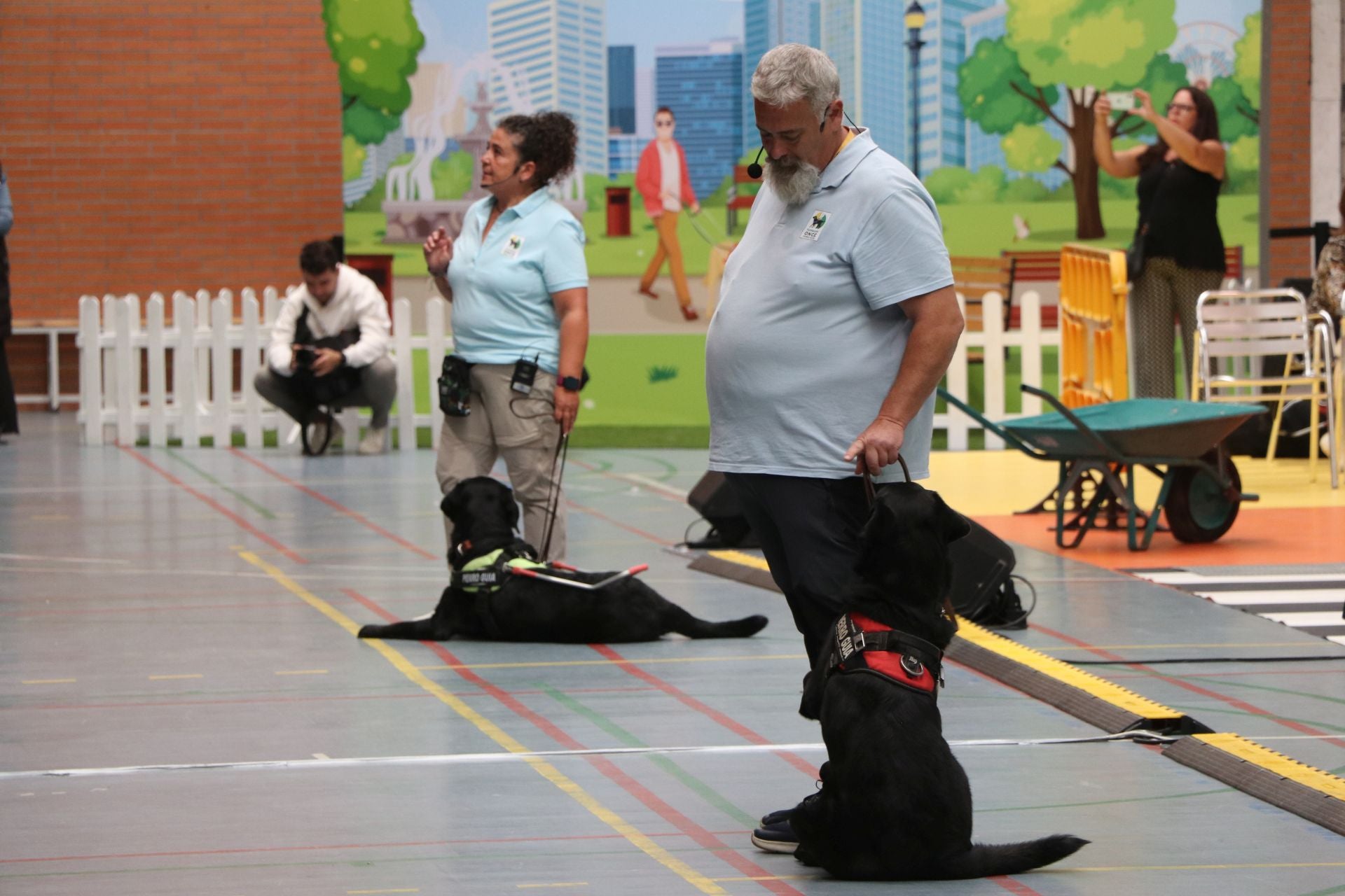 Así se adiestran y trabajan los perros guía