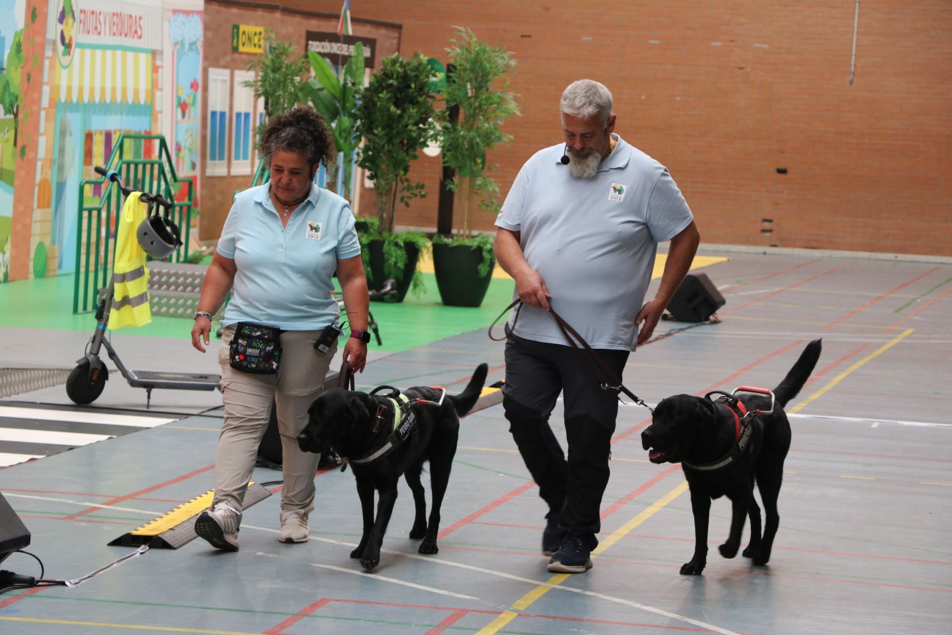 Así se adiestran y trabajan los perros guía