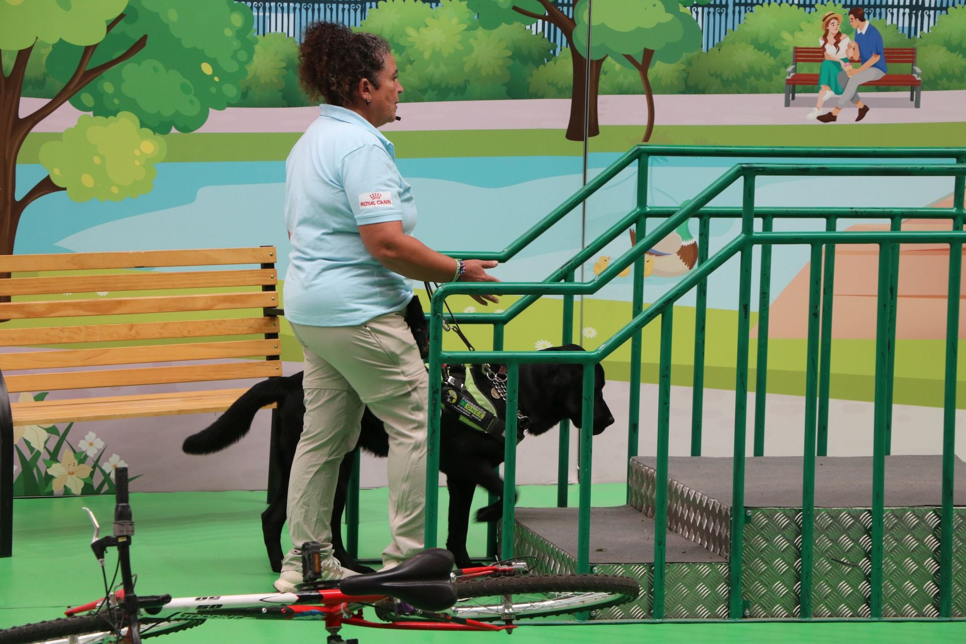 Así se adiestran y trabajan los perros guía