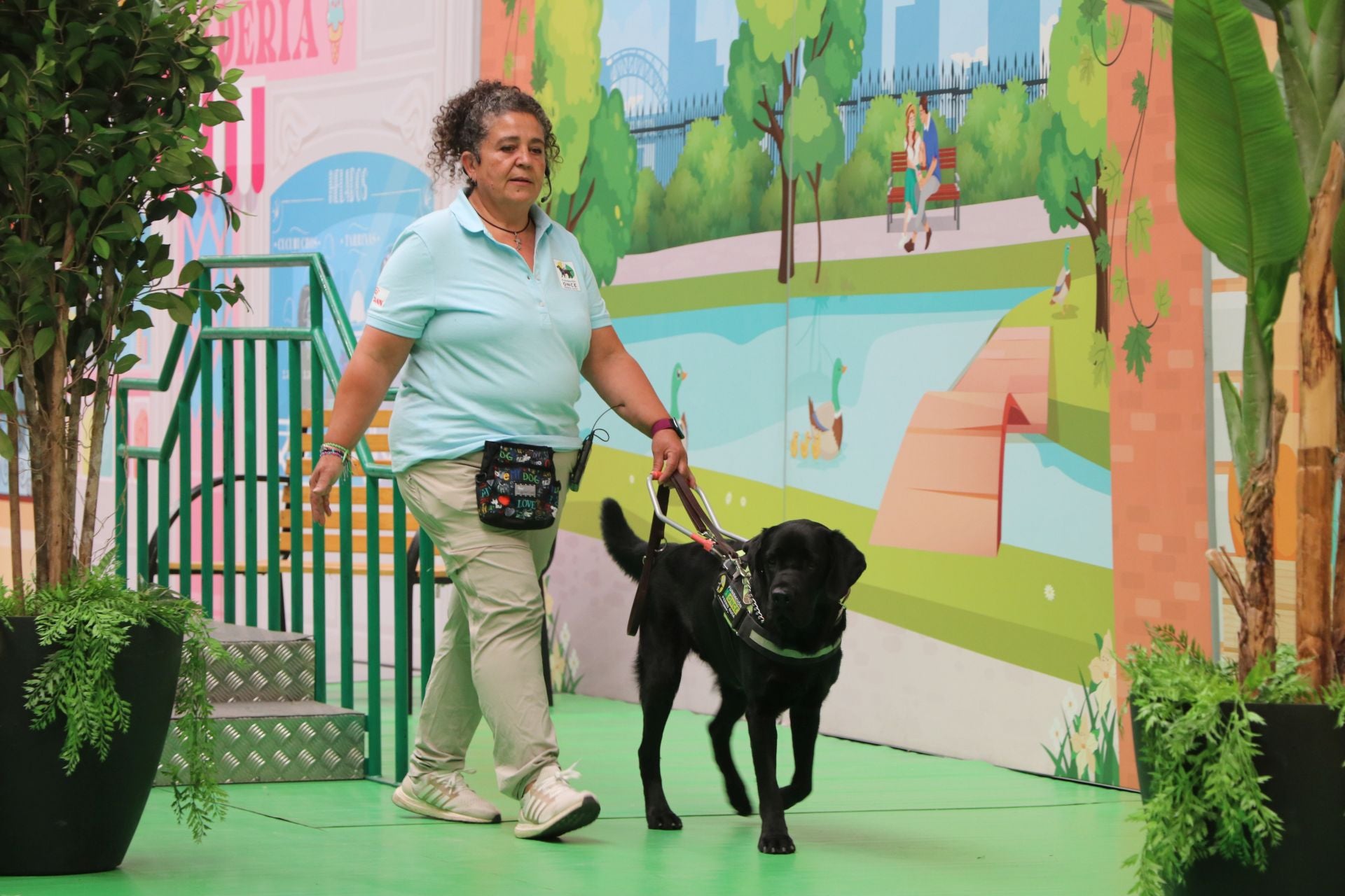 Así se adiestran y trabajan los perros guía