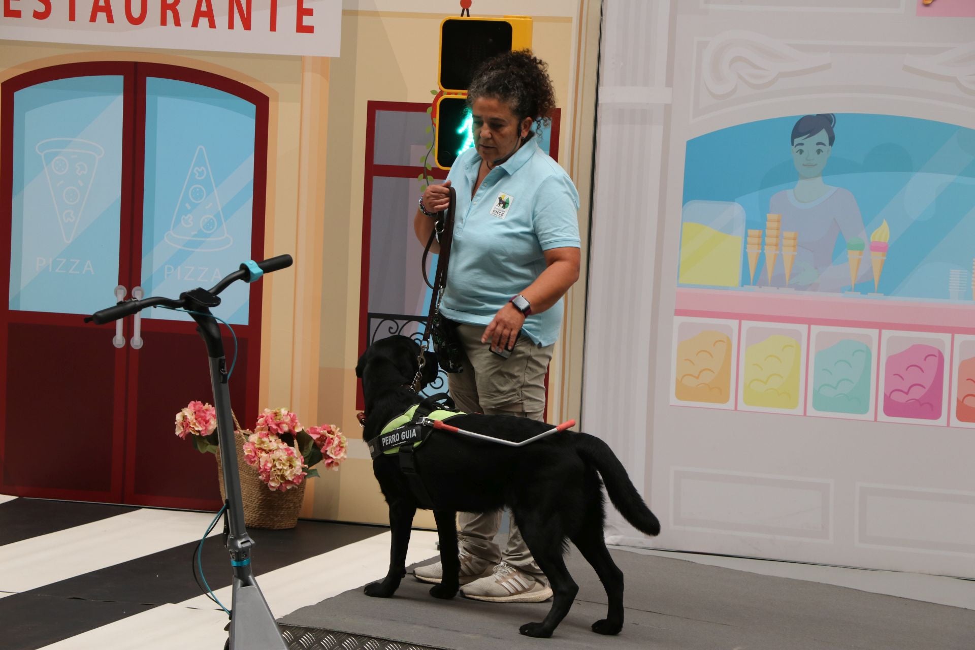 Así se adiestran y trabajan los perros guía