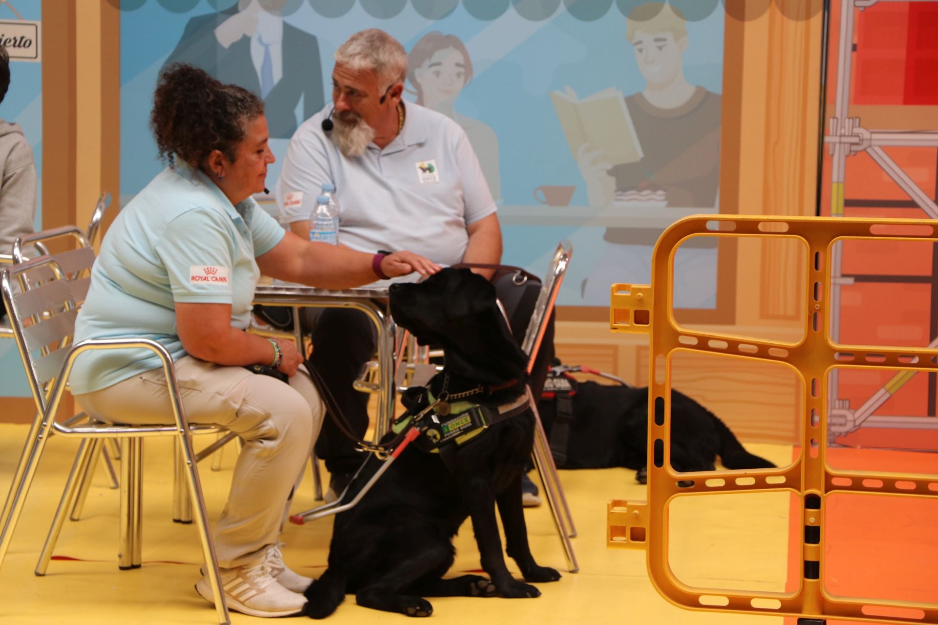 Así se adiestran y trabajan los perros guía