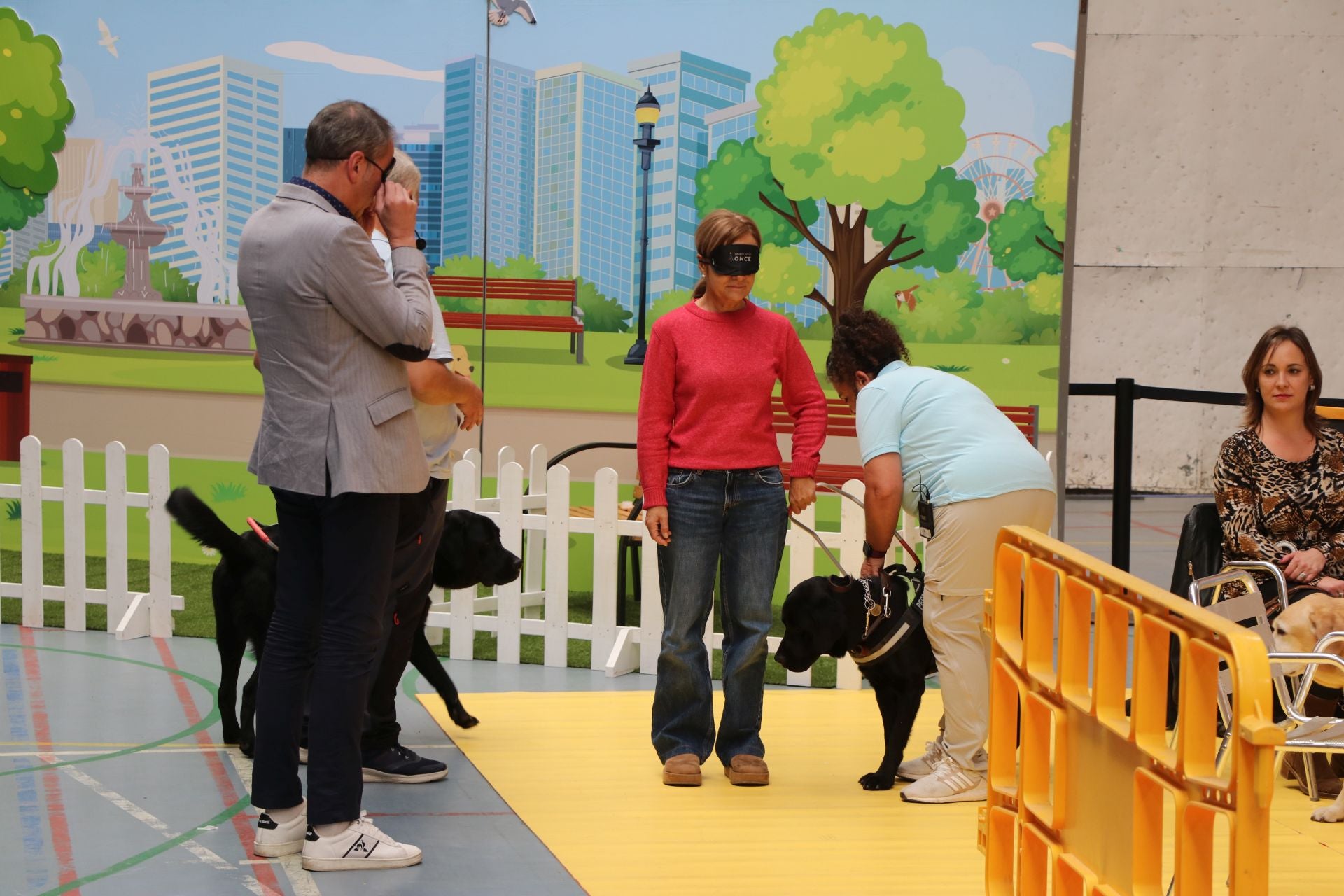 Así se adiestran y trabajan los perros guía