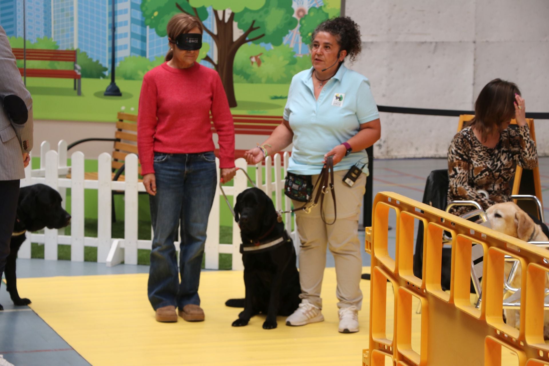Así se adiestran y trabajan los perros guía