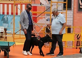 Juan Antonio Orozco, gerente territorial de Servicios Sociales, prueba la experiencia de convivir con un perro guía.