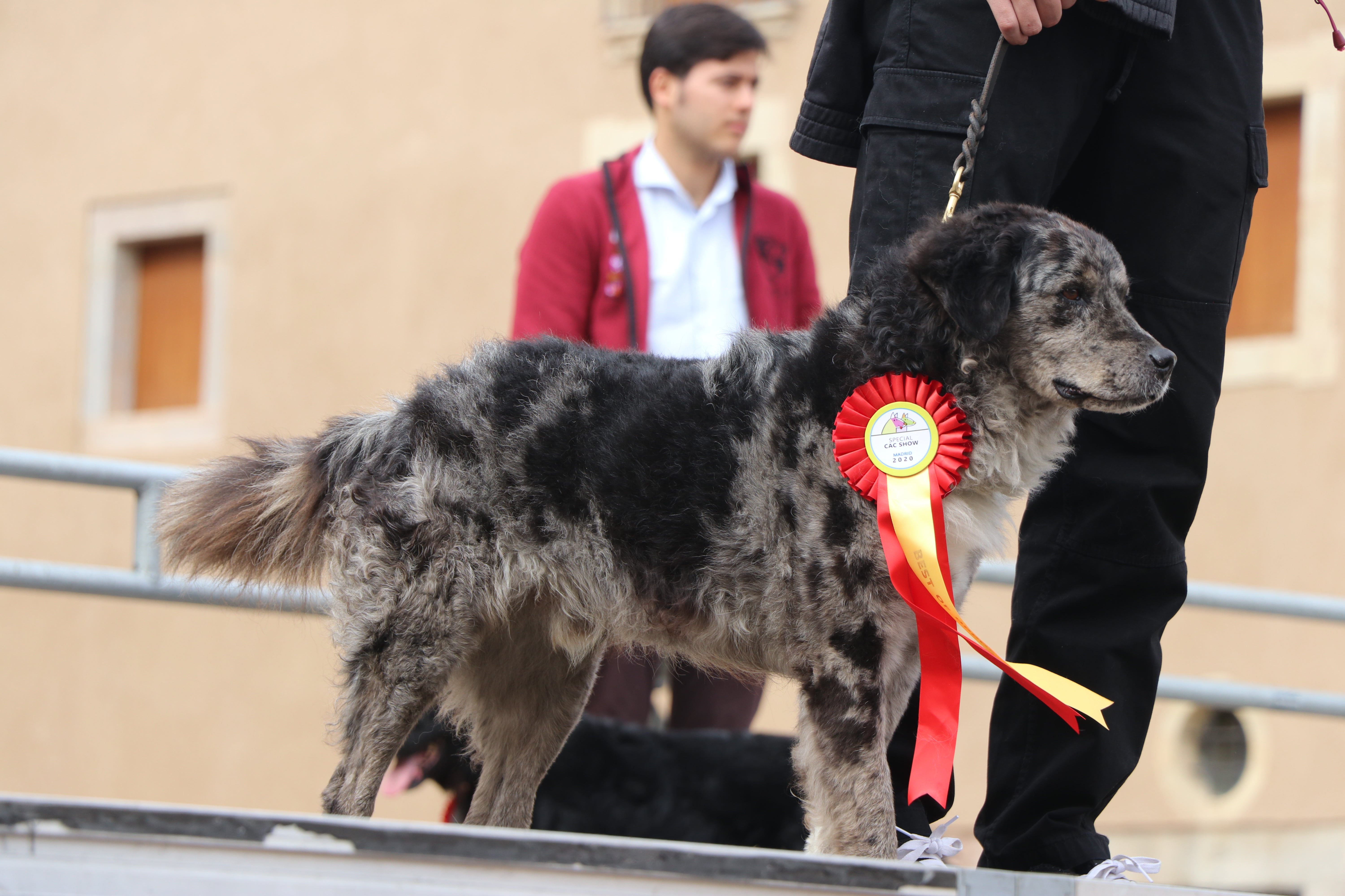Imagen de uno de los campeones de carea leonés en San Marcelo.