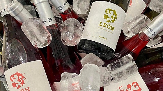 Un total de 24 vinos de la DO León se posicionan entre los mejores de España, según la revista 'Sevi'