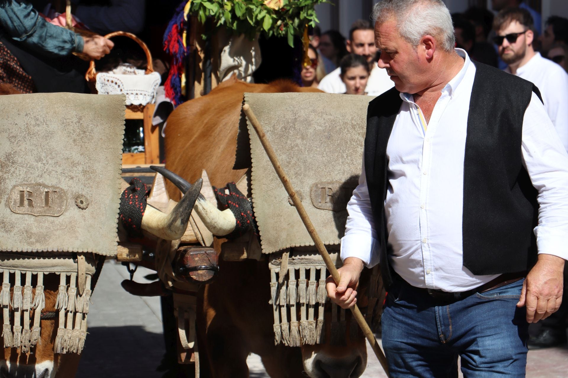 Las mejores imágenes del desfile de carros engalanados