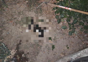 Mata a rastrillazos a una gata en Cacabelos y se atrinchera en su casa