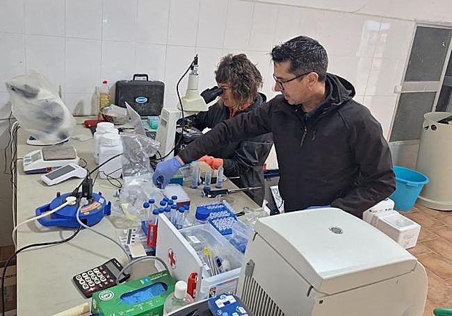 Trabajo de laboratorio.