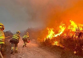 Incendios forestales en León.