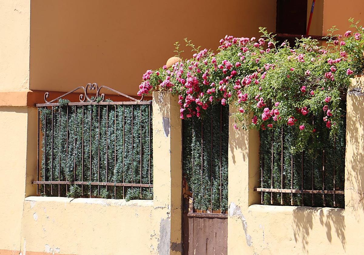 Entrada a una vivienda de la calle del reto de esta semana.