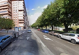 El paseo de Salamanca en León, en la zona del accidente.