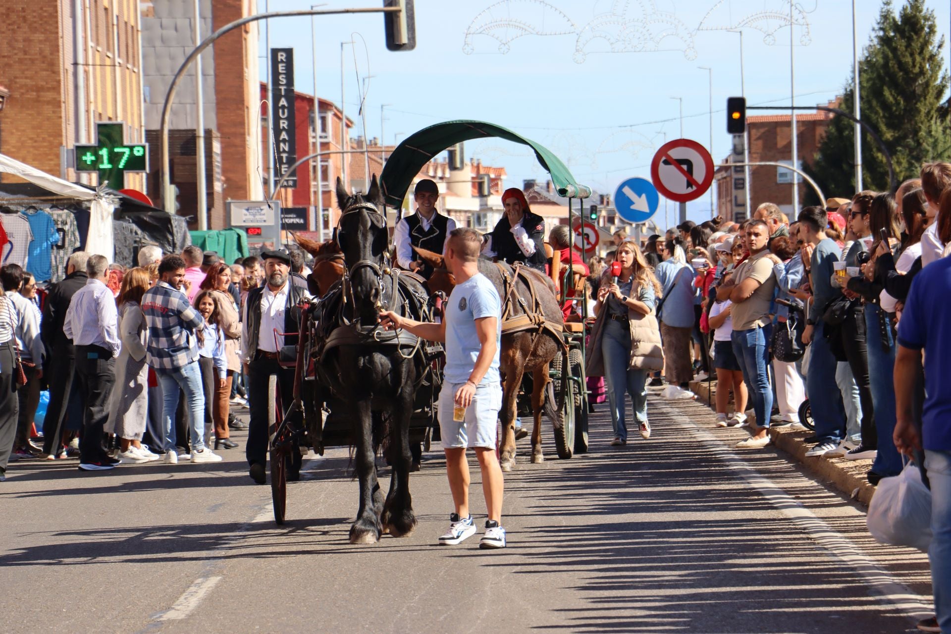 Carros y ganado se visten de fiesta en San Froilán