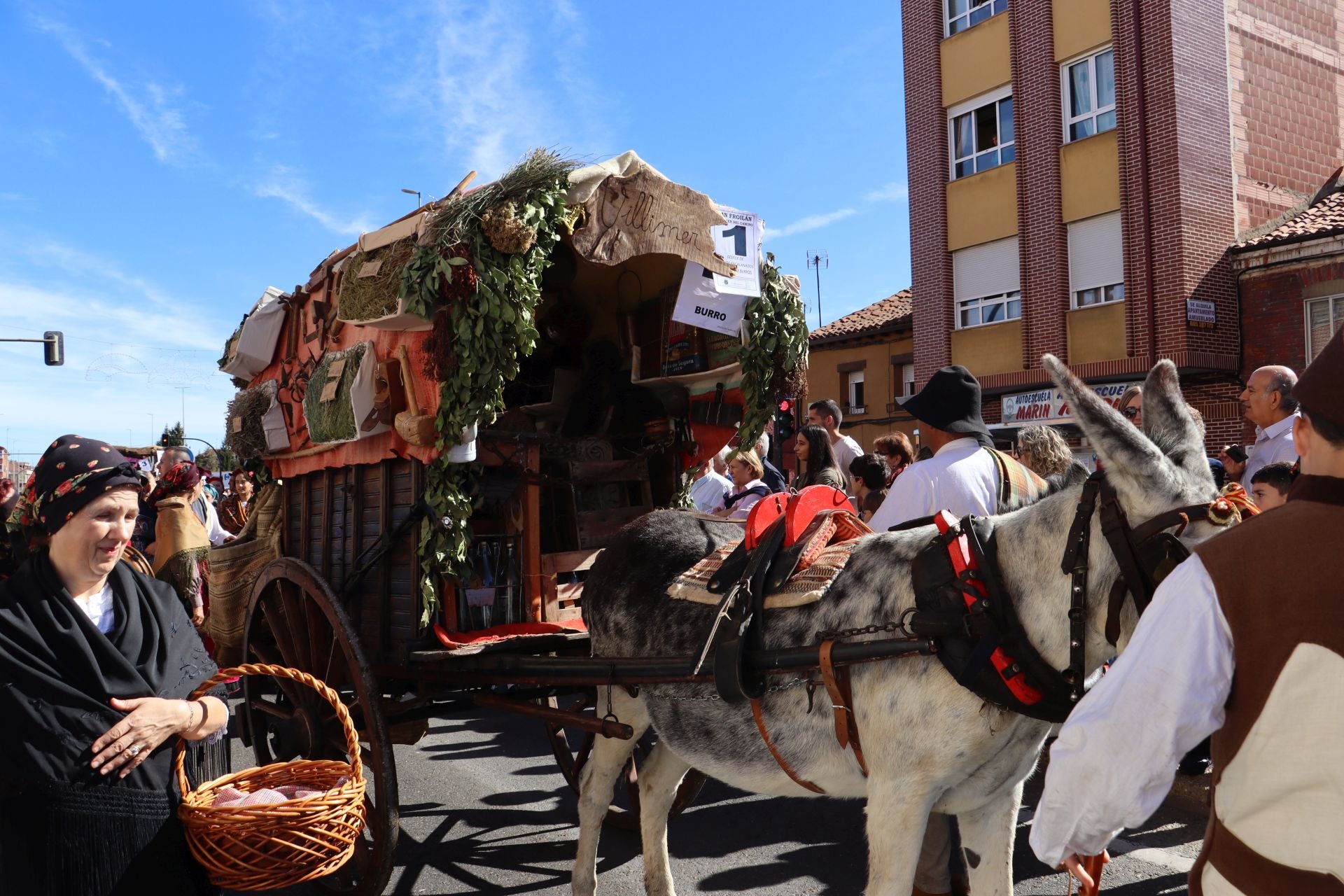 Carros y ganado se visten de fiesta en San Froilán