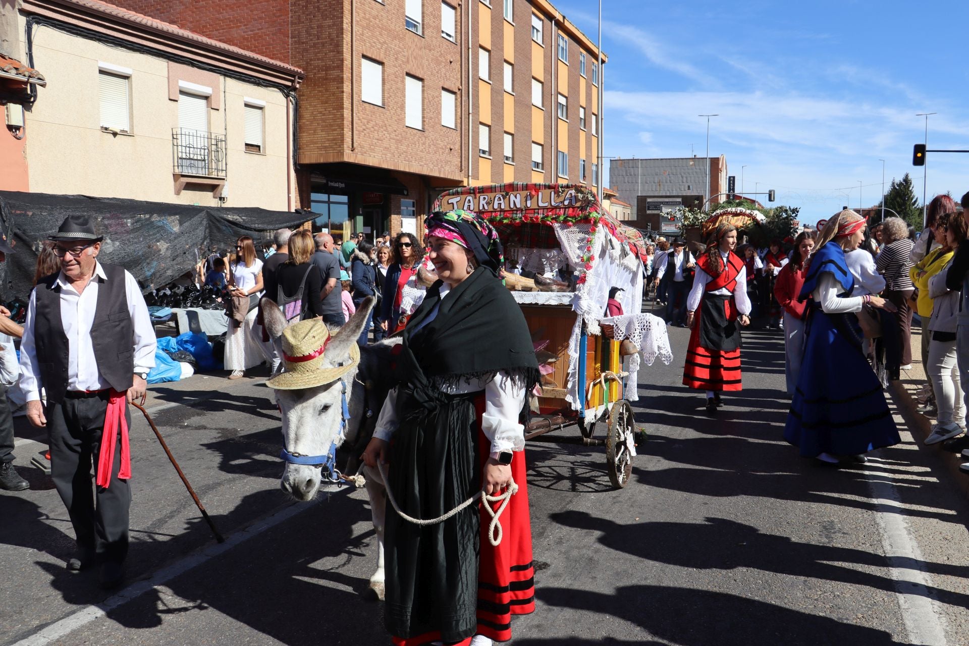 Carros y ganado se visten de fiesta en San Froilán