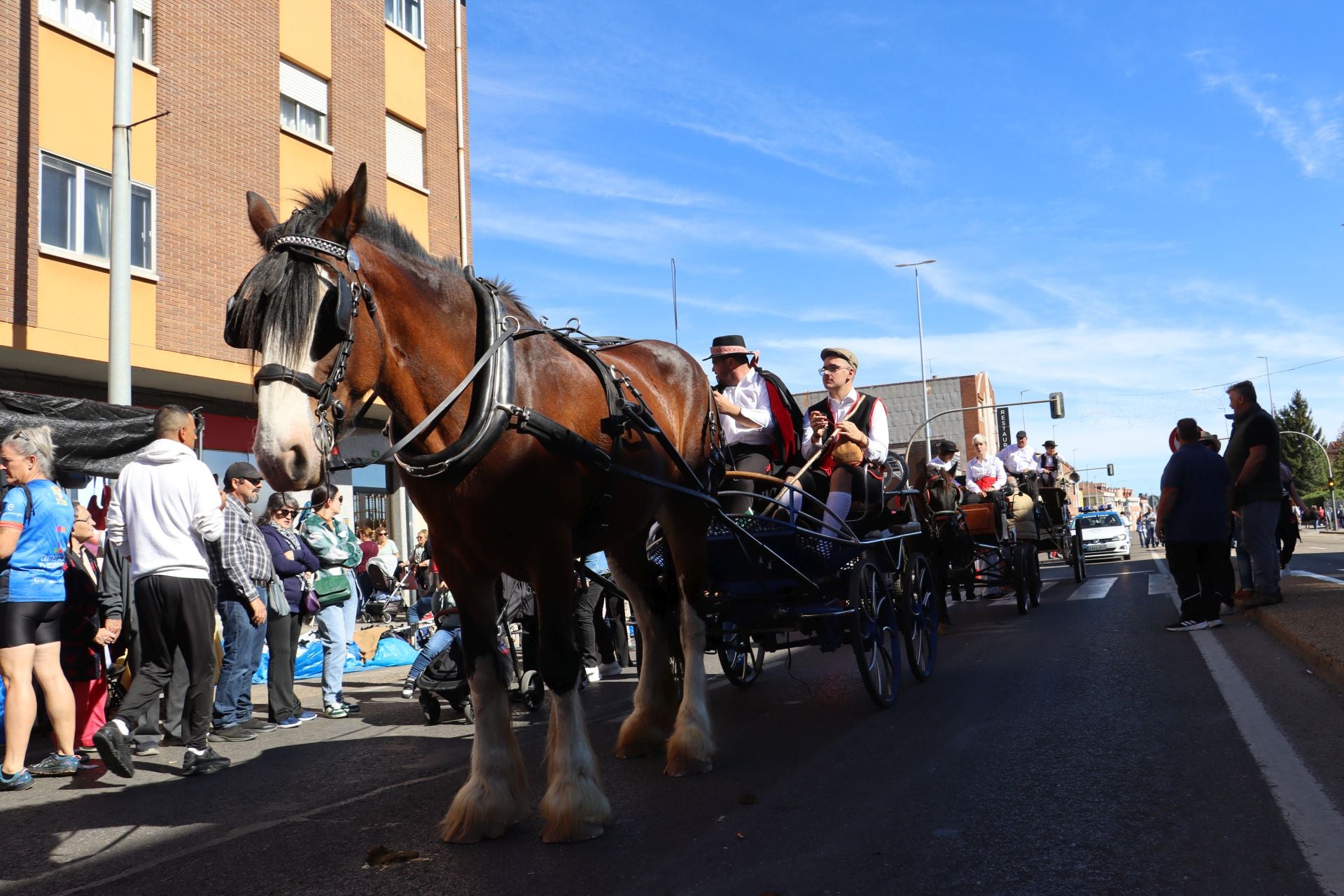 Carros y ganado se visten de fiesta en San Froilán