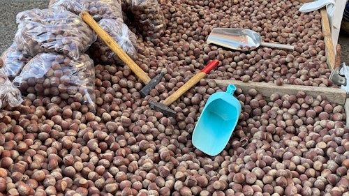 Las mejores imágenes de la romería de San Froilán en León