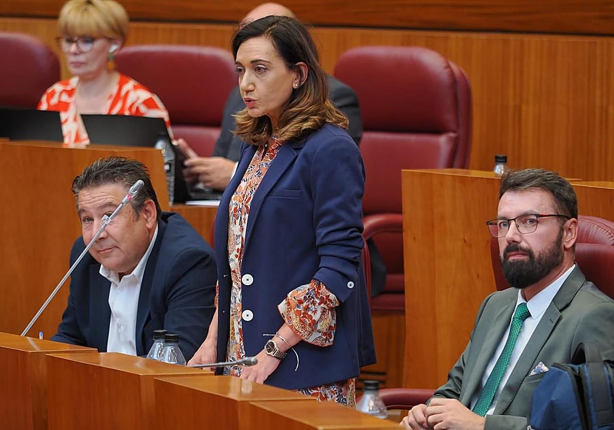 Alicia Gallego en las Cortes de Castilla y León.
