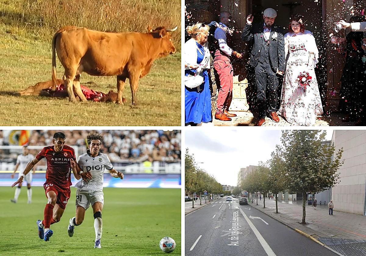 Las imágenes del día.