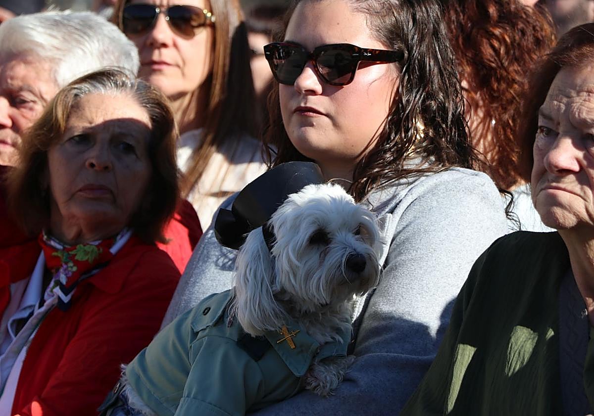 Imagen principal - León corea al unísono: «¡Viva la Guardia Civil!»