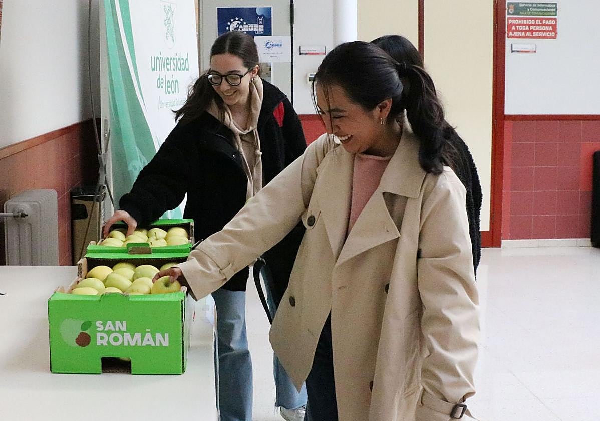 Reparto de manzanas gratis.