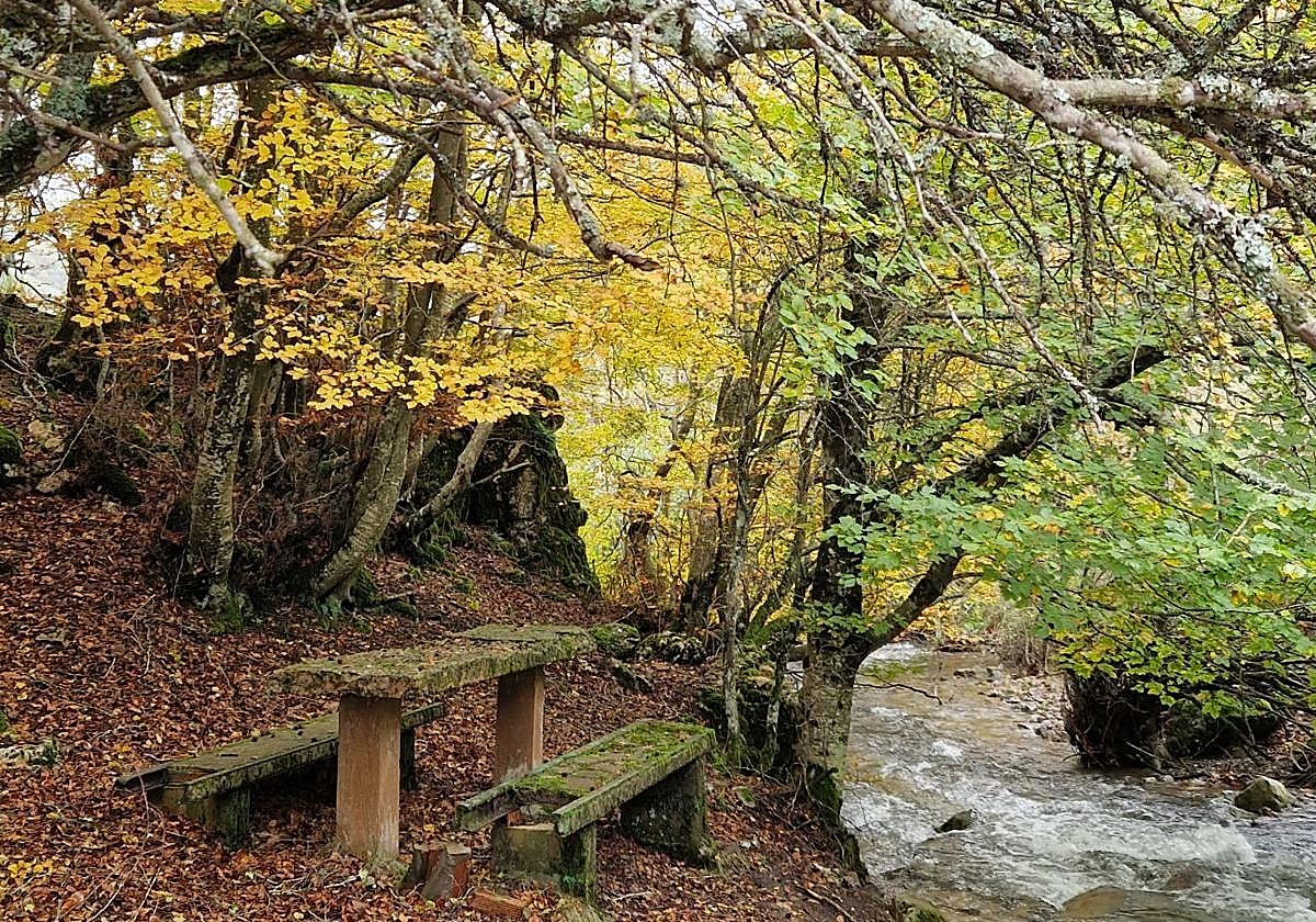 Uno de los rincones de la ruta.