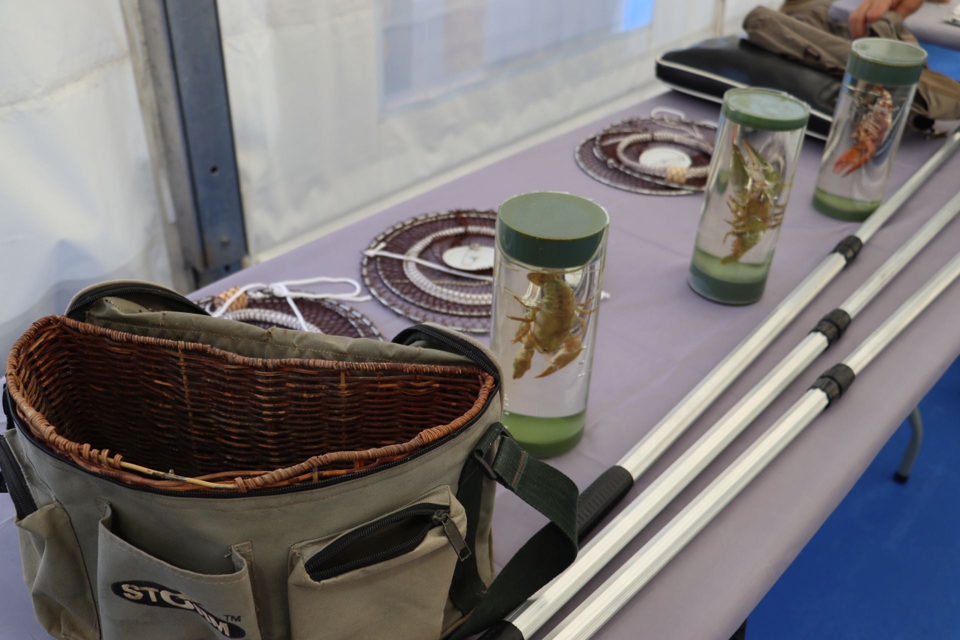 La Plaza Mayor de León se convierte en un aula de pesca