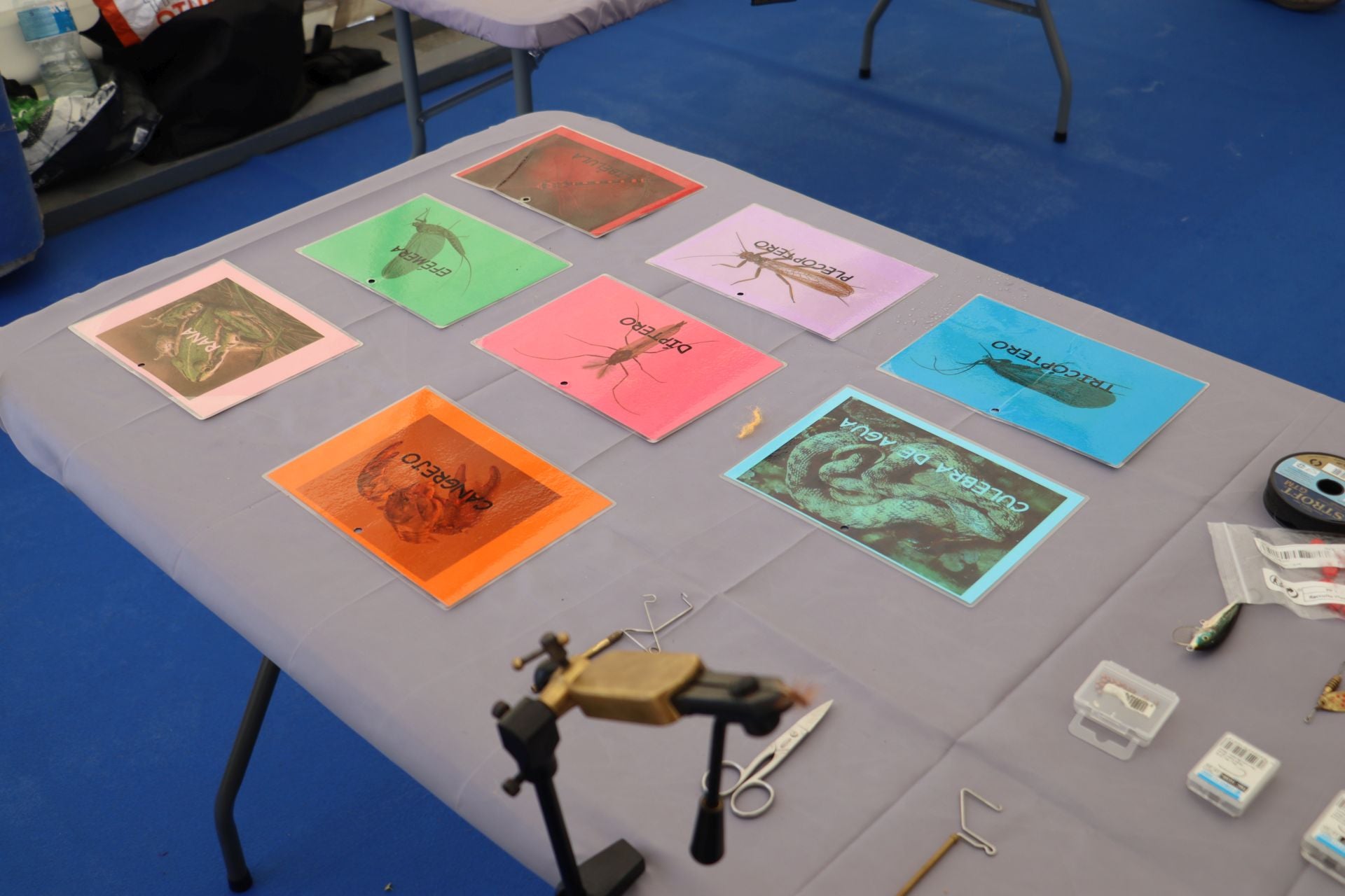 La Plaza Mayor de León se convierte en un aula de pesca