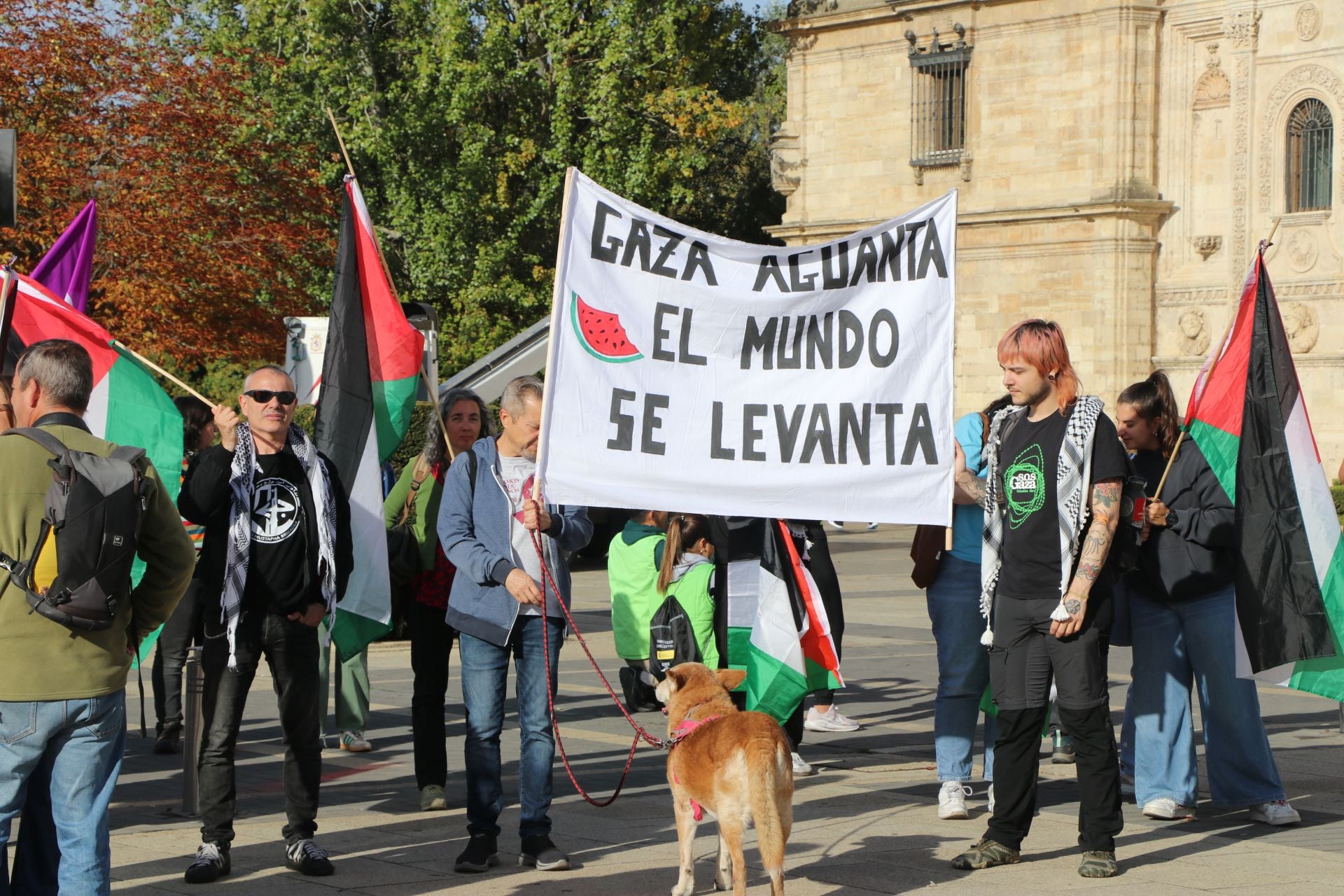 Las imágenes de la manifestación por Palestina en León