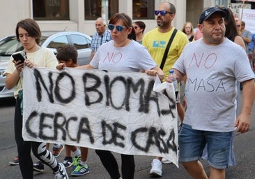 EL TSJ admite la demanda contra la macroplanta de biomasa de Puente Castro