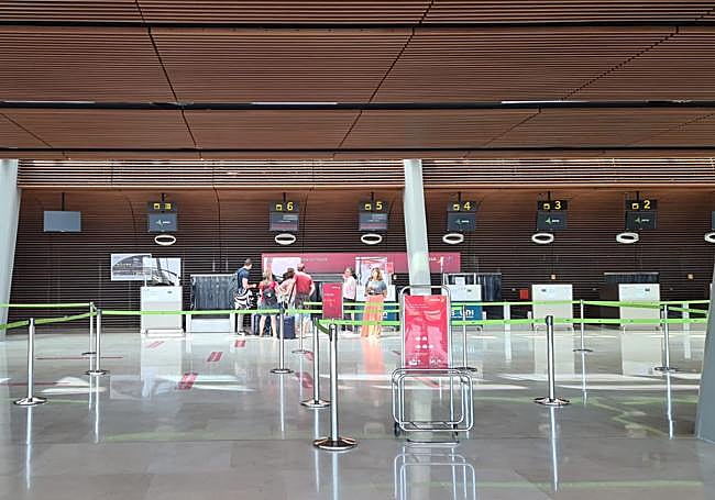 Un grupo de turistas en la línea de facturación del Aeropuerto de León.