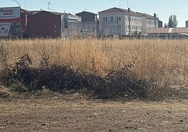 Área del paseo de Peñicas en Astorga.