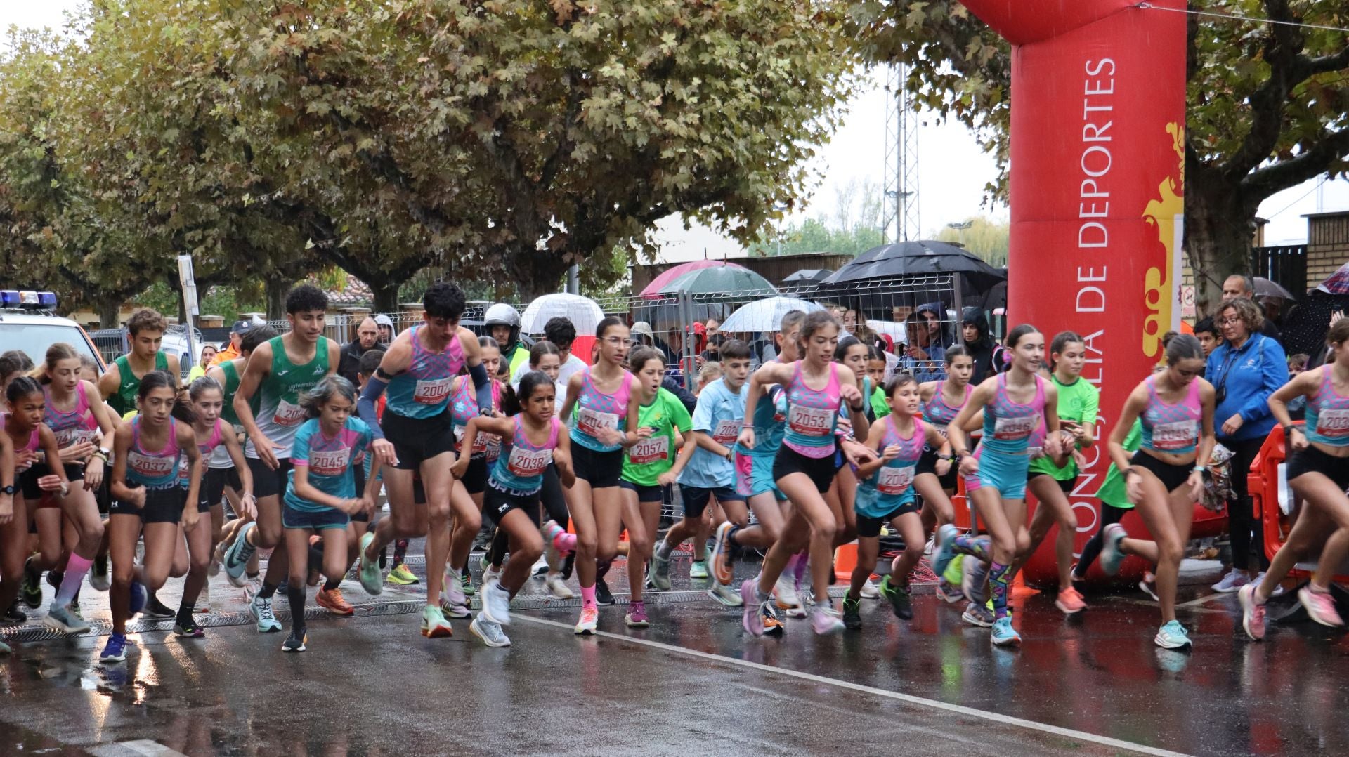 Todas las imágenes de la Peque León Cuna del Parlamentarismo