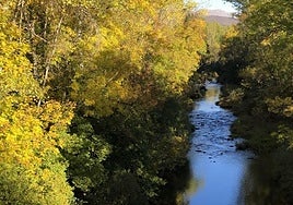 Colores del otoño en la provincia de León.
