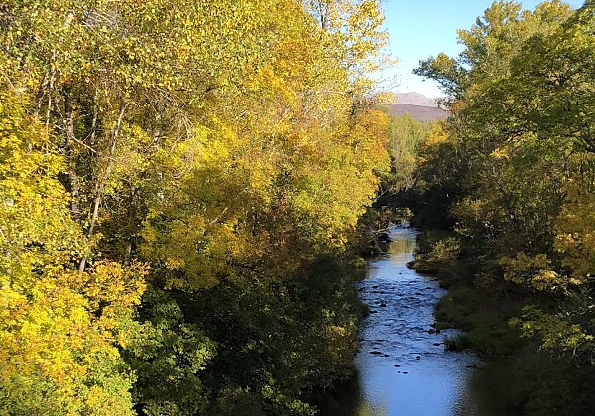 Colores del otoño en la provincia de León.