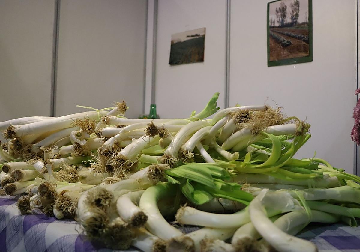 Puerros en la Feria de San Simón
