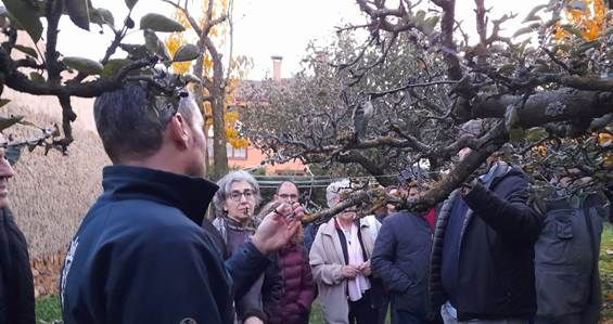 Imagen de un curso de poda