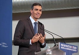 Pedro Sánchez, presidente del Gobierno.