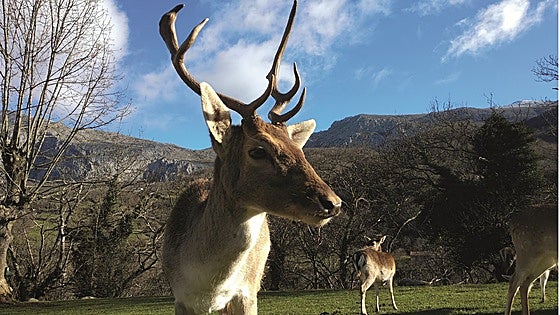 Teverga, donde la naturaleza late con fuerza