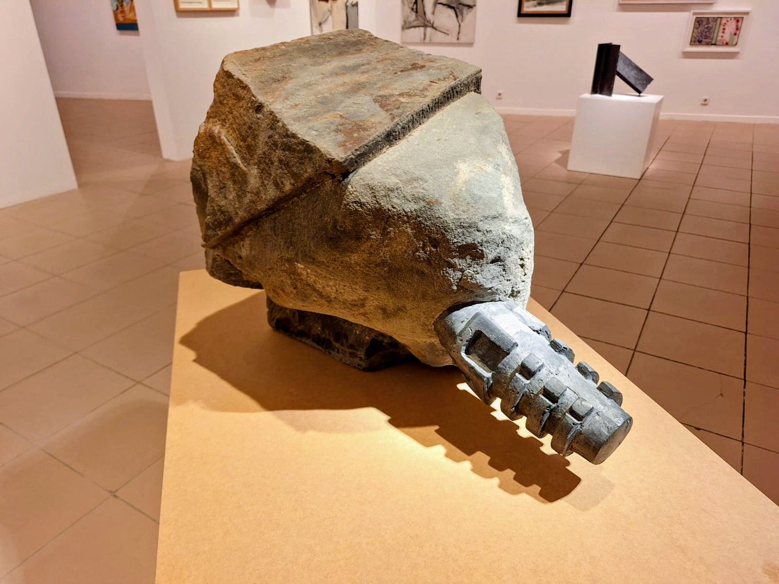 El ILC hace balance de sus últimas adquisiciones con una gran exposición