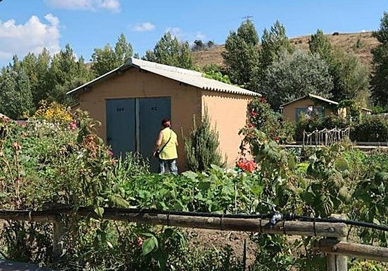 Imagen de archivo de los huertos en La Candamia.