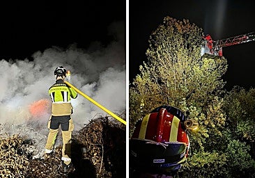Los bomberos de León actúan: sofocan un incendio en un pueblo y retiran un nido de avispa velutina