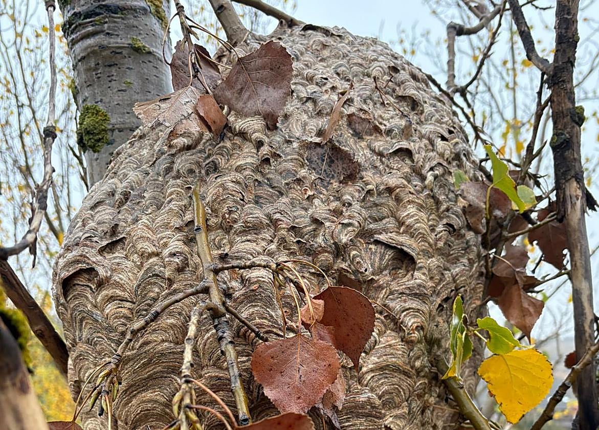 Imagen principal - Imágenes de Protección Civil actuando.